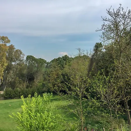 Nel Borgo Róma